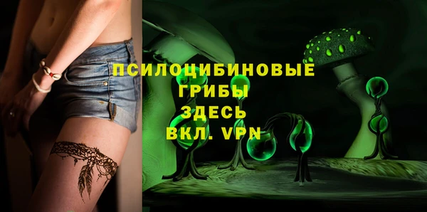 MDMA Богородицк