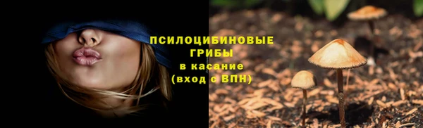 прущая мука Богородск