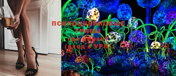 MDMA Богородицк