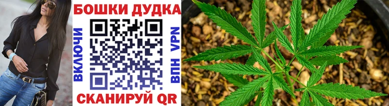 Марихуана Amnesia  hydra маркетплейс  Томари 